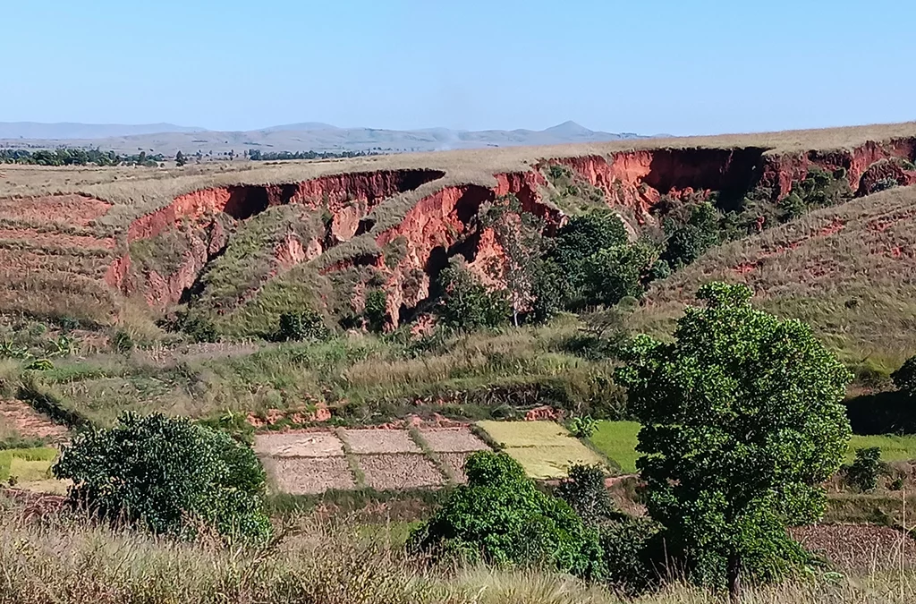 Agro écologie  forestière au Bongolova