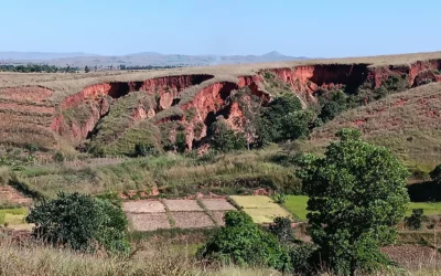 Agro écologie  forestière au Bongolova