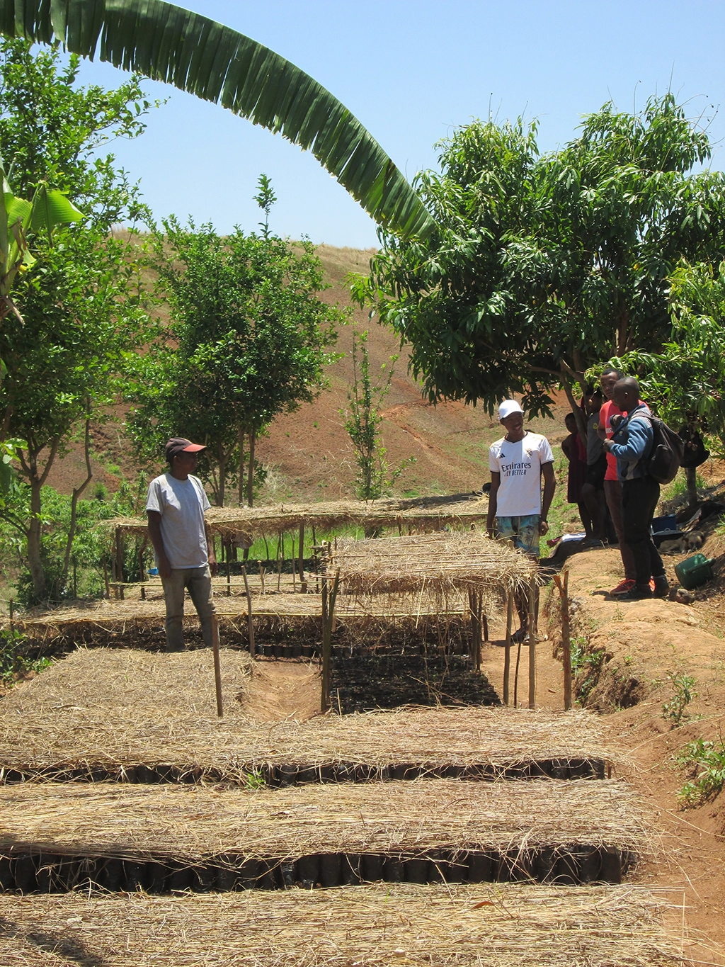 Visite de terrain : fruitières sur la parcelle de Pauline